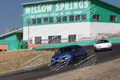media/Jun-22-2024-Extreme Speed (Sat) [[ca2808de24]]/Grey Gold/Morning Session/
